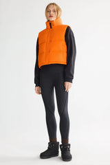Bright Marigold