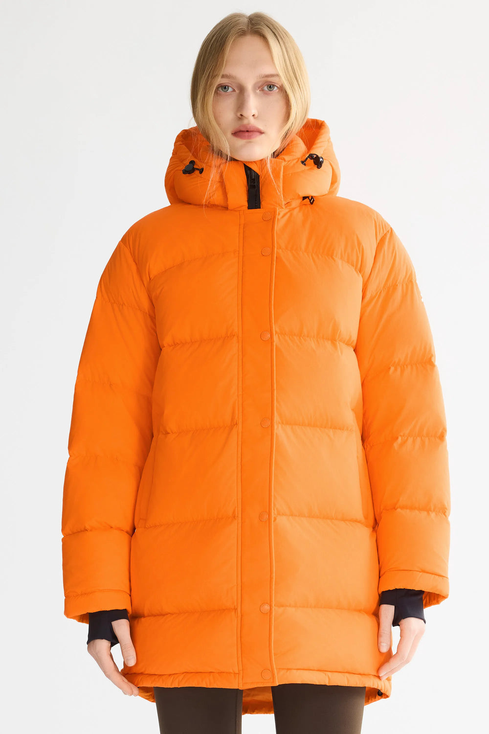 Bright Marigold