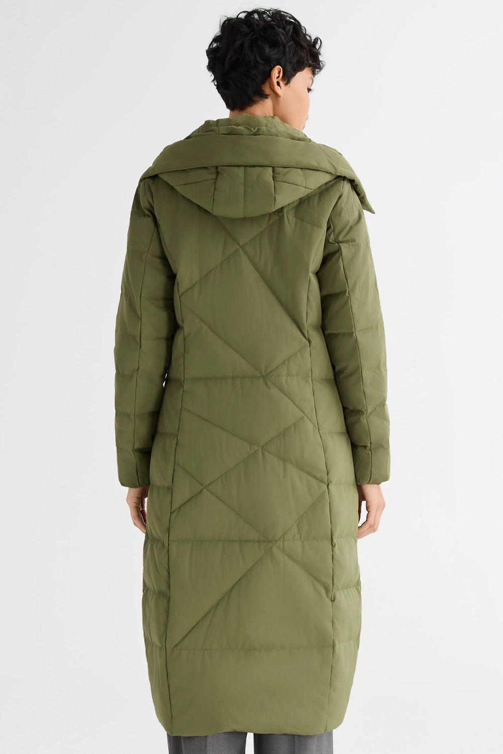 Peat Moss